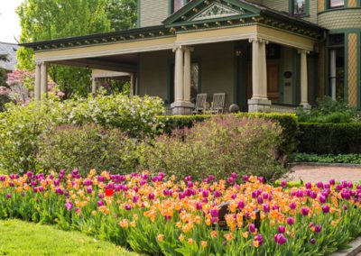 Picture of green victorian home with tulips in the front