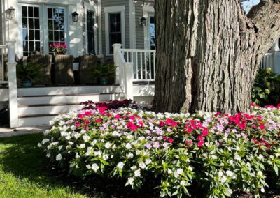 Picture of residential flower bed surrounding a large tree