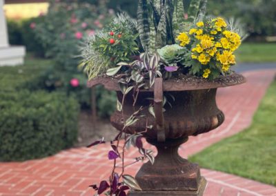 Picture of close up of flower planter with variety of plants