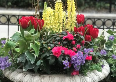 Picture of spring flower pot